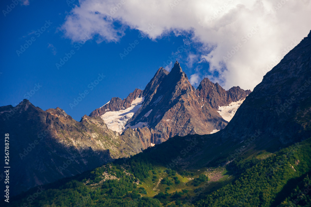 Snowy peaks of mountains in the surroundings of Dombai. Caucasus Mountains summer, clear day from the forest.
