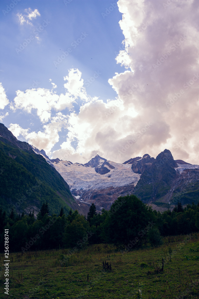 Fototapeta premium Snowy peaks of mountains in the surroundings of Dombai. Caucasus Mountains summer, clear day from the forest.
