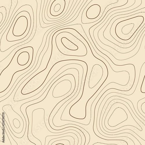 Topographic map lines. Actual topographic map. Seamless design, remarkable tileable isolines pattern. Vector illustration.