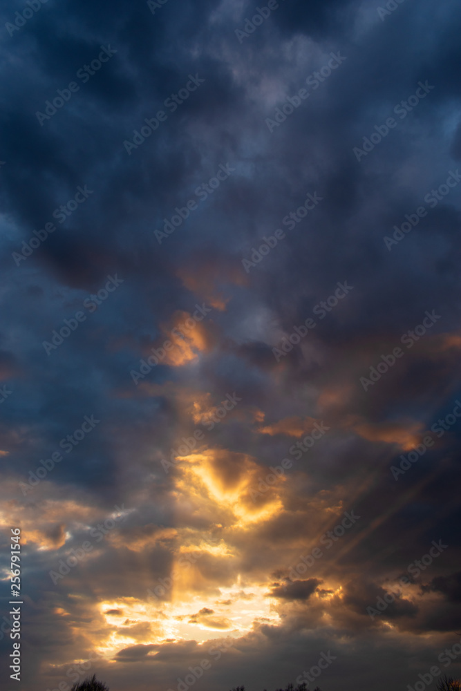 Fototapeta premium Sunset. clouds on the sky.