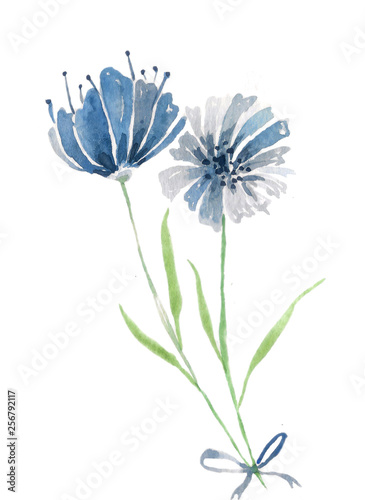 blue flowers watercolor illustration