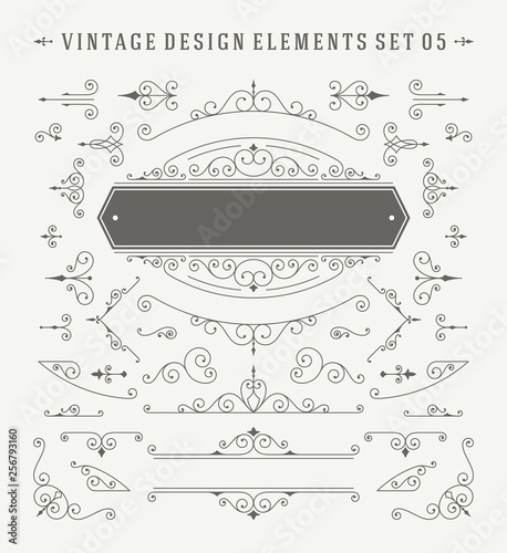 Vintage ornaments decorations vector design elements set.