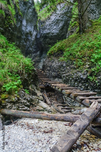 Canyon of creek Sucha Biela. Slovak Paradise. Slovakia. Europe.