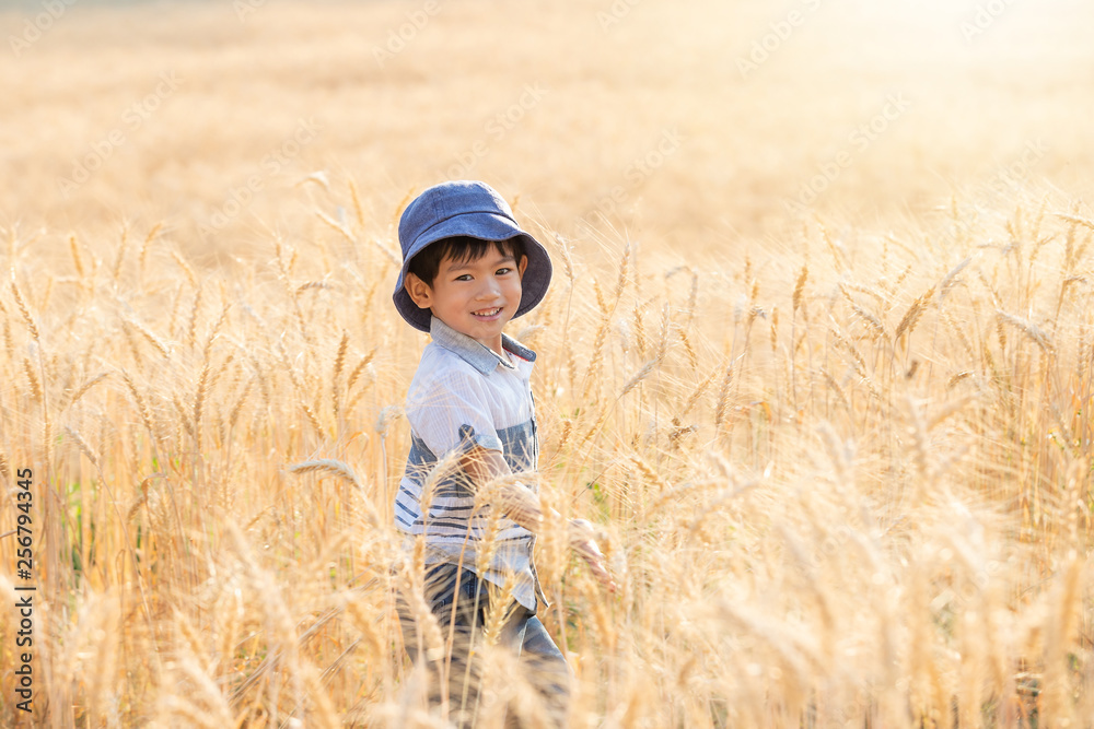 Asian Boy having fun and playing in a wheat field on summer. Asian Boy having fun and playing in a wheat field on summer.