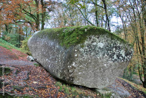 Forêt de Huelgoat dans le Finistère en Bretagne à l'automne, forêt de légendes, 