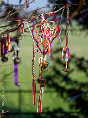 Colourful Ribbons Tied to a Tree