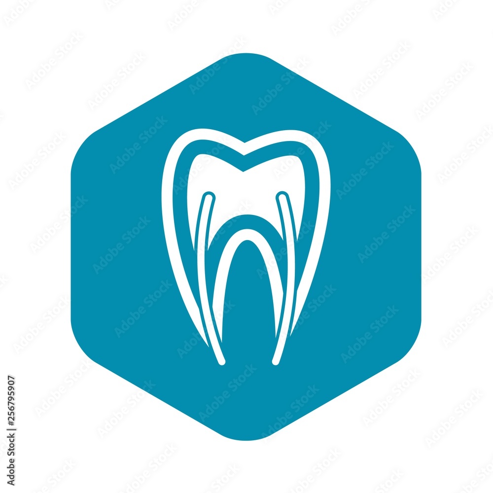 Tooth cross section icon in simple style isolated vector illustration