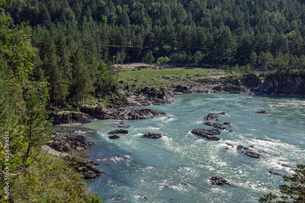 Katun river in Altai flows between the mountains covered with greenery Katun river in Altai flows between the mountains covered with greenery