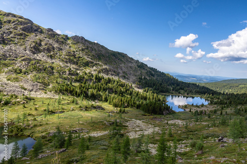 Fototapeta Naklejka Na Ścianę i Meble -  beautiful summer landscape in the Altai mountains overlooking the lake