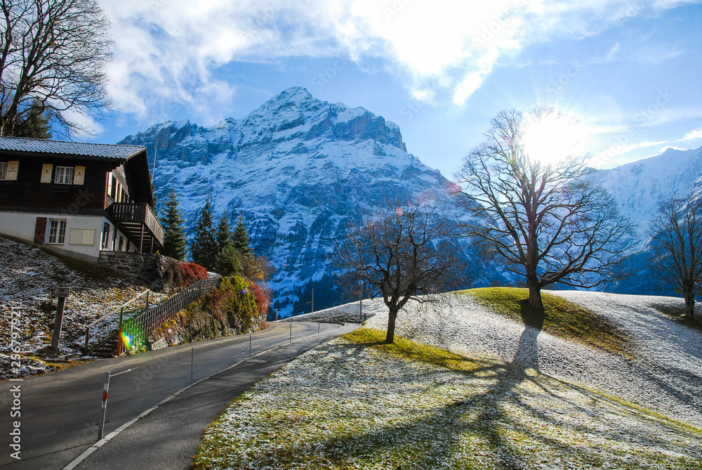 秋の朝のグリンデルワルト　メッテンベルクと薄っすらと雪が積もった牧草地（スイス・ベルン州・グリンデルワルト）