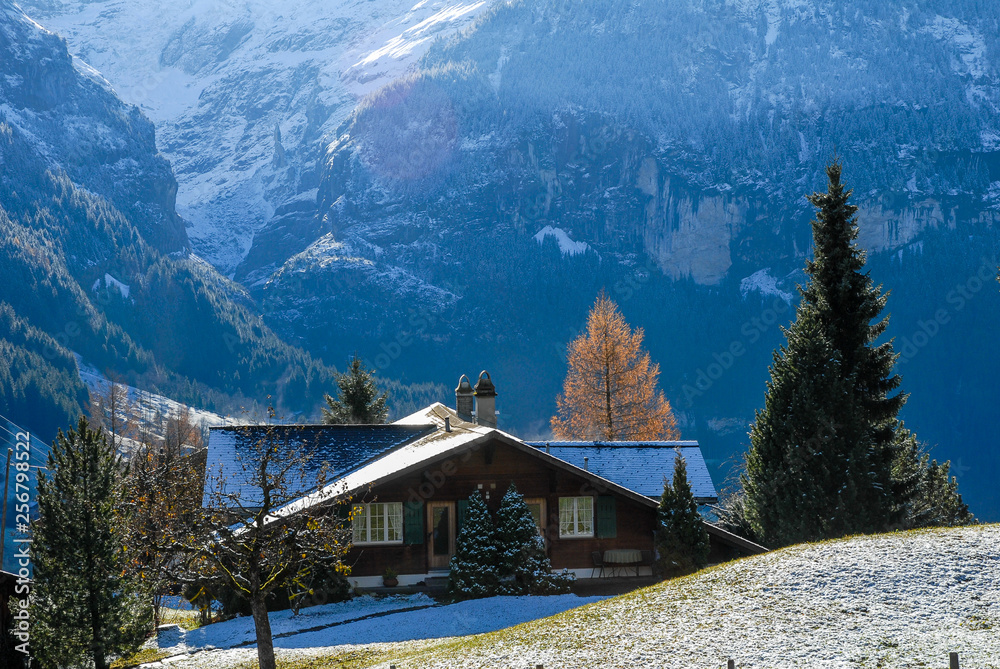 秋のグリンデルワルト　薄っすらと雪が積もった牧草地と家と山肌（スイス・ベルン州・グリンデルワルト）