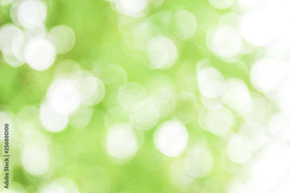 Natural green bokeh abstract background Natural green bokeh abstract background
