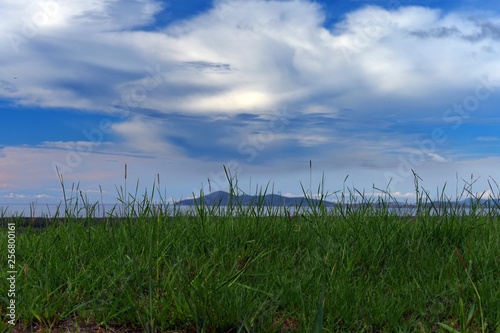 Cape Hawke Forster region with a grassy foreground