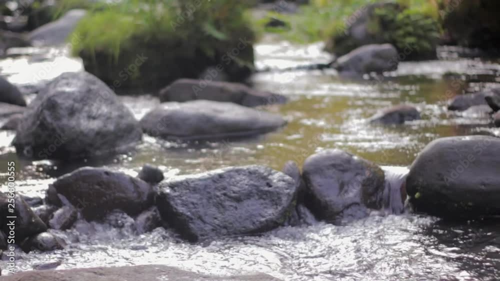 Slow Motion clip of serene forest river where the calm water flows on rocks Slow Motion clip of serene forest river where the calm water flows on rocks