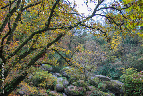 Forêt de Huelgoat dans le Finistère en Bretagne à l'automne, forêt de légendes, 