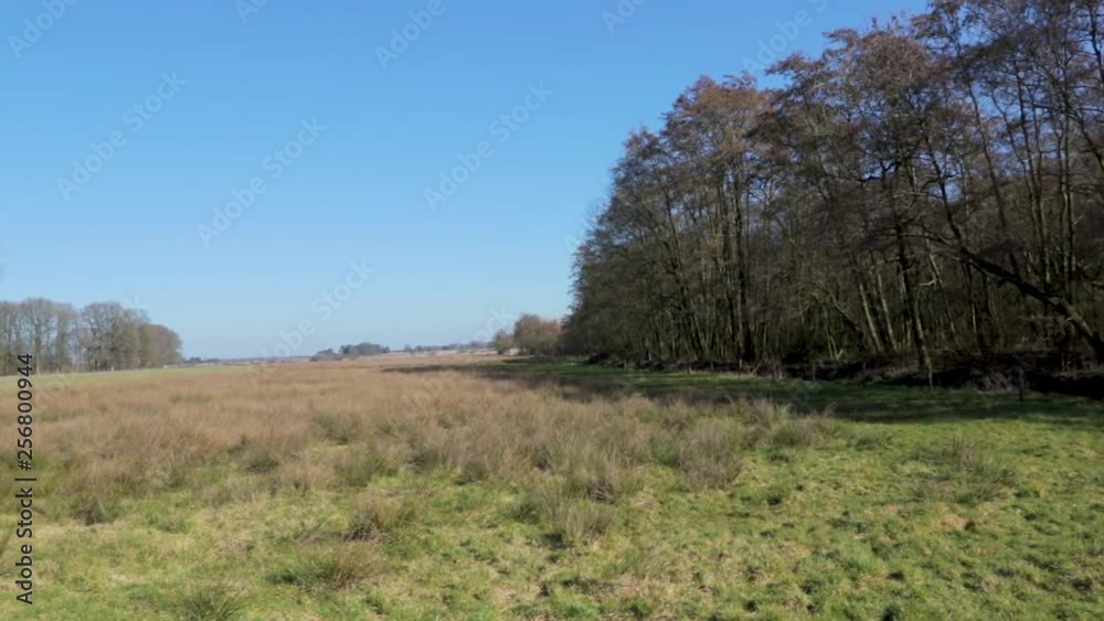 Field with trees and wheat, pan left to right Field with trees and wheat, pan left to right