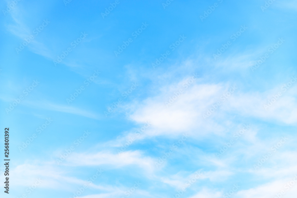 The nature of blue sky with cloud in the morning.