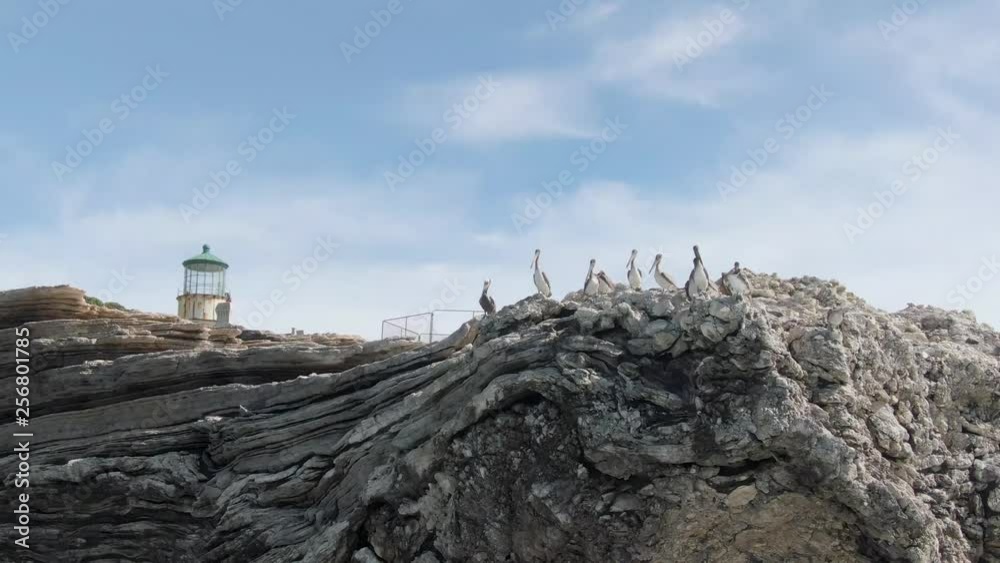 Birds at a historic lighthouse (aerial). Birds at a historic lighthouse (aerial).