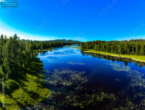 landscape with lake and forest
