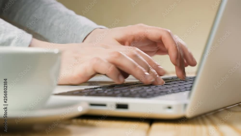 A beautiful businesswoman is sitting at a table with a laptop in a cafe and working A beautiful businesswoman is sitting at a table with a laptop in a cafe and working
