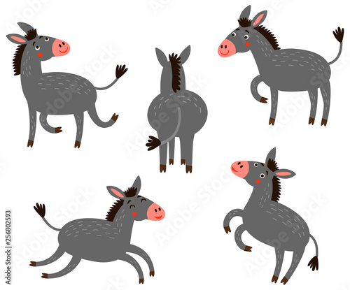 Donkey vector characters set