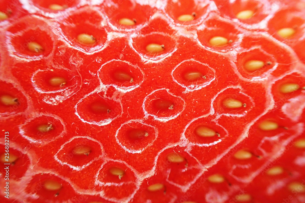 fresh strawberry texture fresh strawberry texture