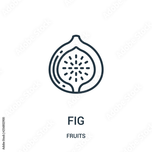 fig icon vector from fruits collection. Thin line fig outline icon vector illustration. Linear symbol for use on web and mobile apps, logo, print media.
