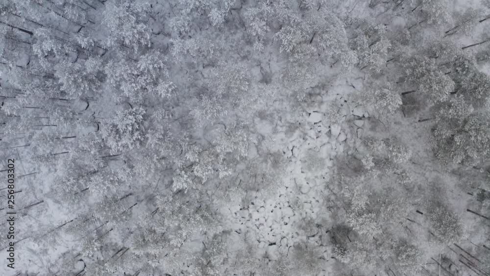 Aerial. Beautiful top view of the snowy forest and treetops in finland. Aerial. Beautiful top view of the snowy forest and treetops in finland.