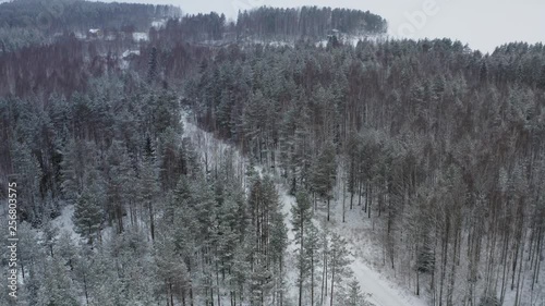 Wallpaper Mural Aerial view of the forest road in winter on a cloudy day. Torontodigital.ca