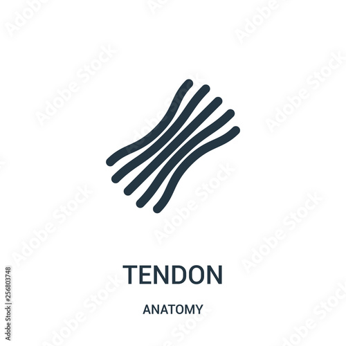 tendon icon vector from anatomy collection. Thin line tendon outline icon vector illustration. Linear symbol for use on web and mobile apps, logo, print media.