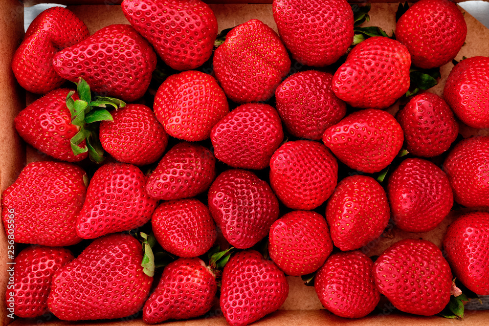 erdbeeren von oben erdbeeren von oben