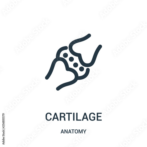 cartilage icon vector from anatomy collection. Thin line cartilage outline icon vector illustration. Linear symbol for use on web and mobile apps, logo, print media.