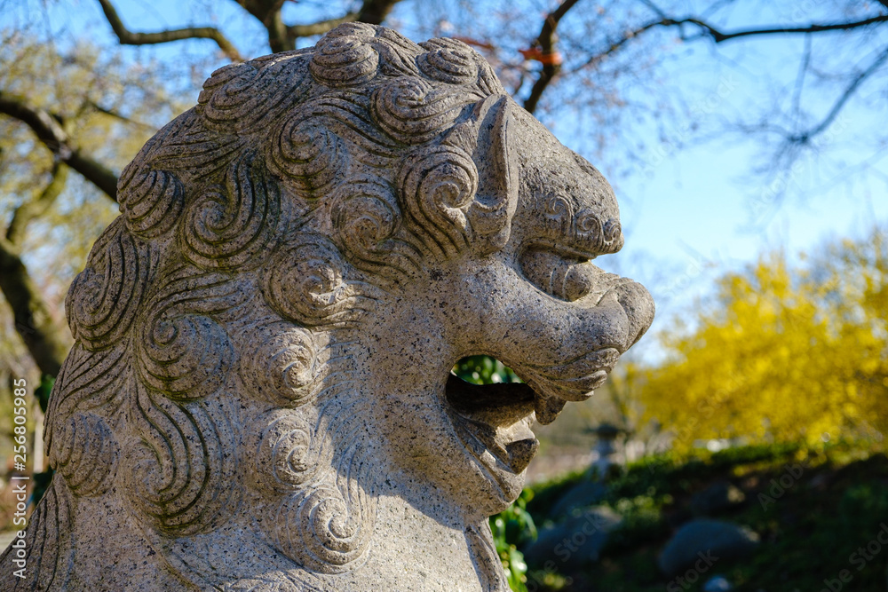 chinese lion statue head