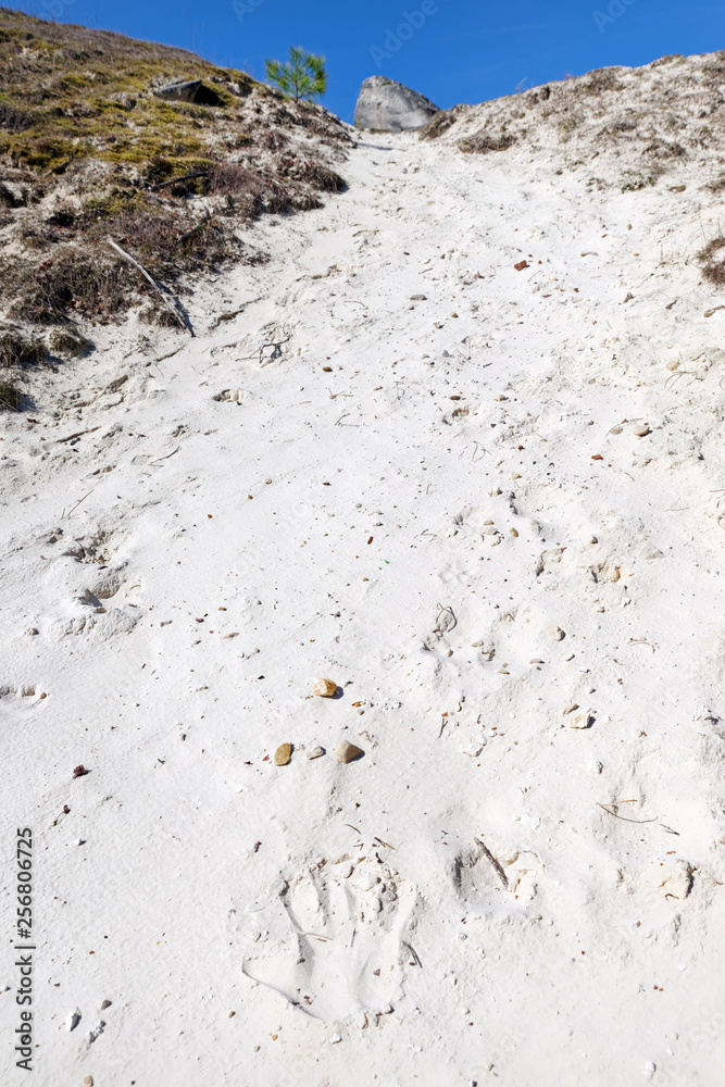 white sand of Mont Blanc hill in the french Gâtinais regional nature park white sand of Mont Blanc hill in the french Gâtinais regional nature park
