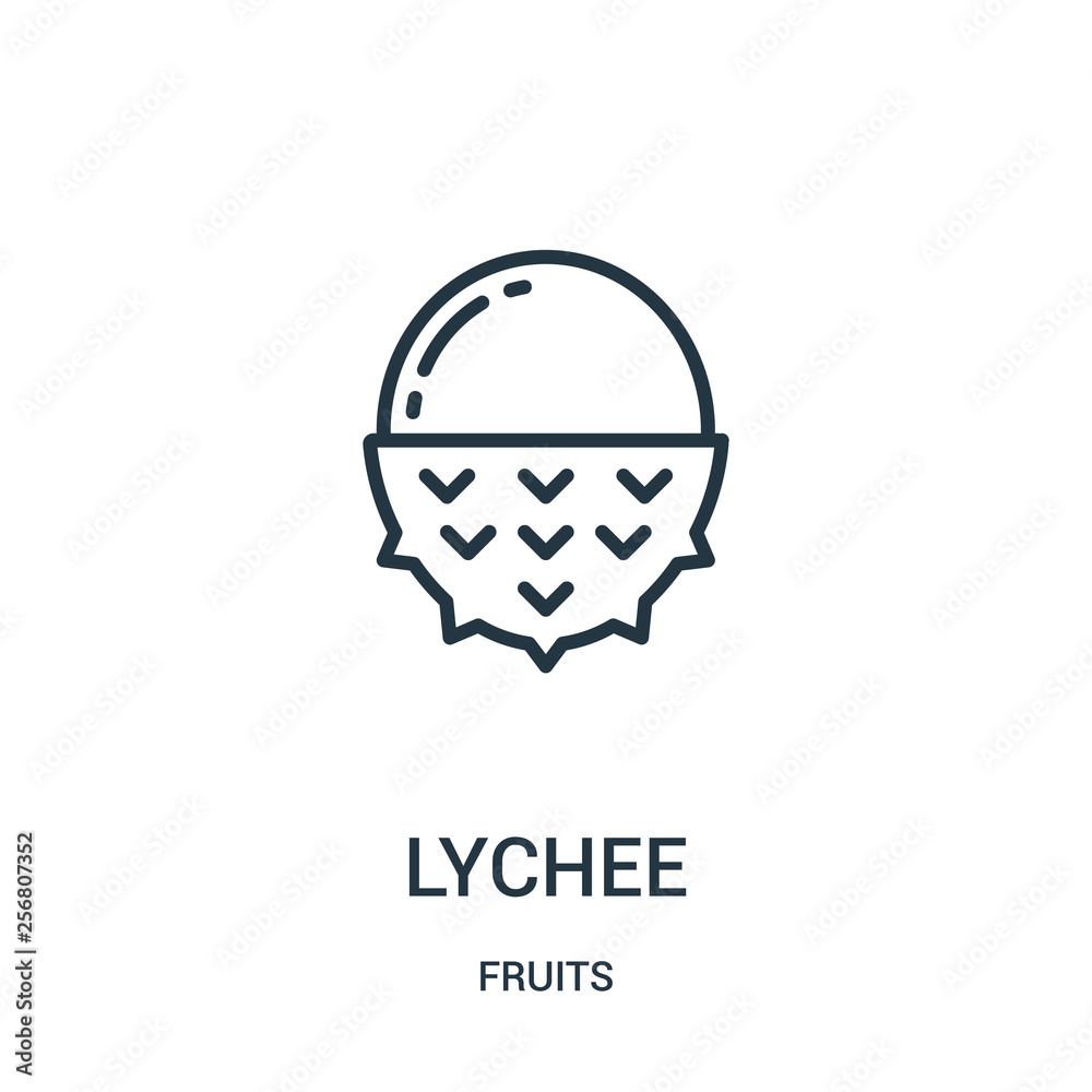 lychee icon vector from fruits collection. Thin line lychee outline ...