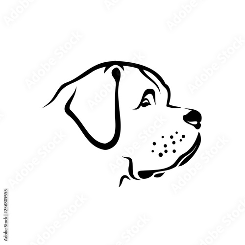 St. Bernard dog - St Bernard - isolated outlined