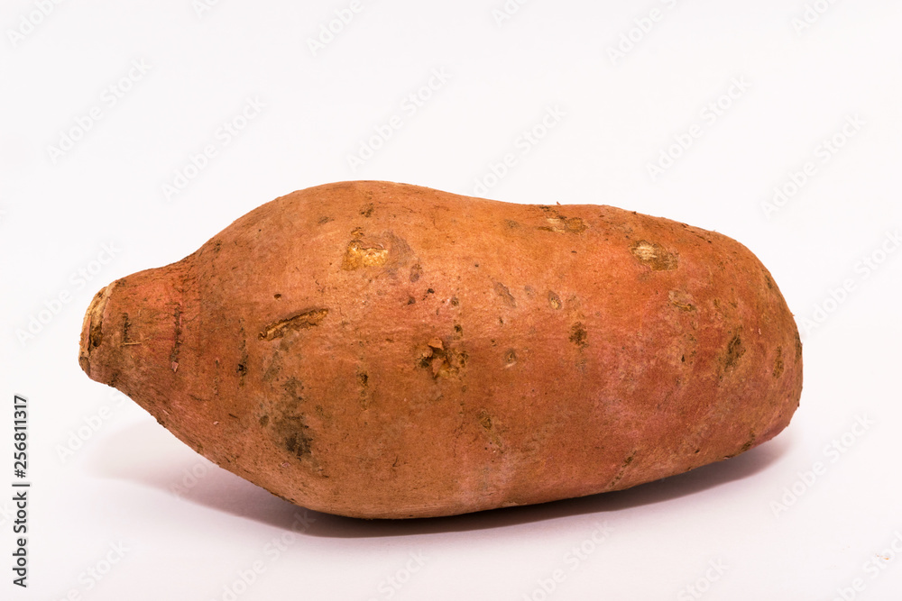 single uncut organic sweet potato isolated on white single uncut organic sweet potato isolated on white