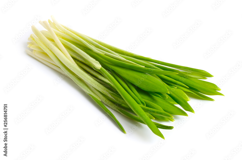 Allium ursinum, known as wild garlic, ramsons, buckrams, broad-leaved garlic, wood garlic, bear leek or bear's garlic. Allium ursinum, known as wild garlic, ramsons, buckrams, broad-leaved garlic, wood garlic, bear leek or bear's garlic.