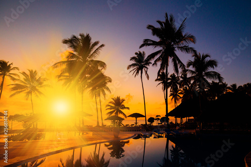 Maldives, tropical sea background sunset !