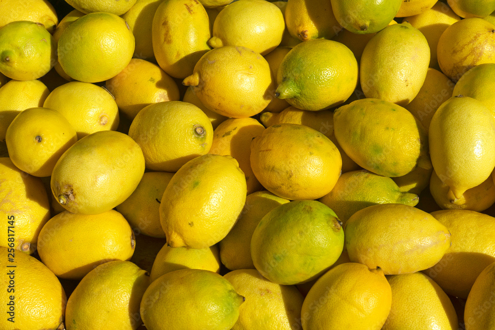 Fresh organic lemon