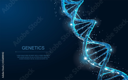 DNA. Abstract 3d polygonal wireframe DNA molecule helix spiral on blue. photo