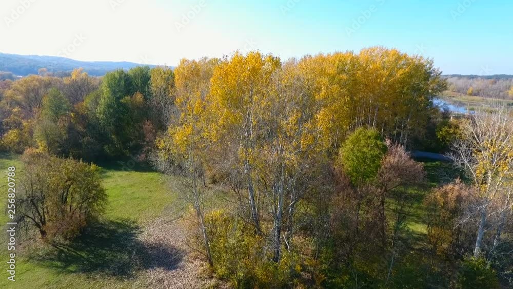 drone rise up above trees and meadow on a sunny day. drone rise up above trees and meadow on a sunny day.