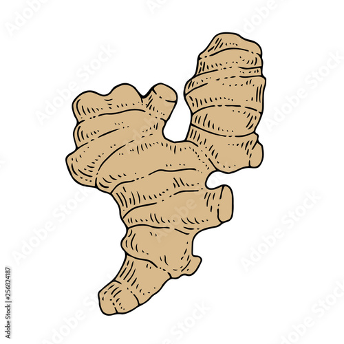 ink ginger food