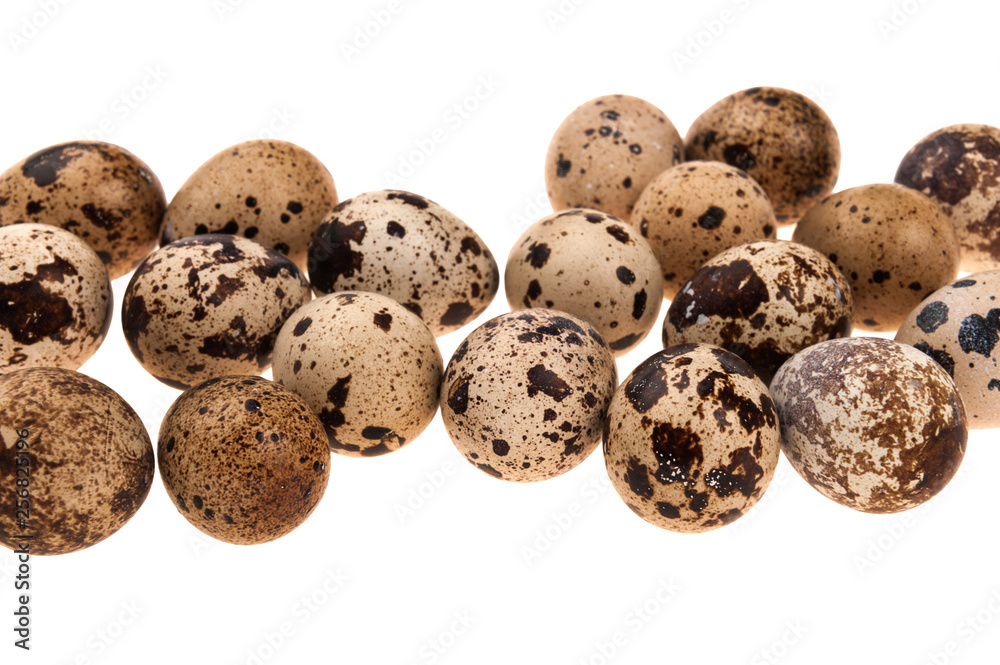 quail eggs isolated on white