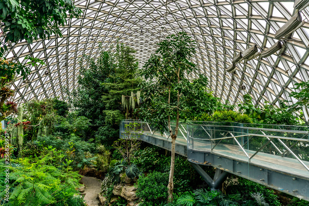 China Shanghai Botanical Garden Greenhouse 7