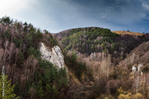 jura krakowsko cz  stochowska