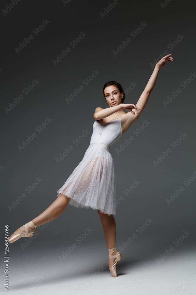 Young beautiful ballerina is posing in studio Young beautiful ballerina is posing in studio