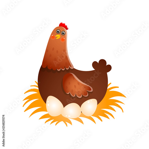 Hen hatching eggs in nest over white background