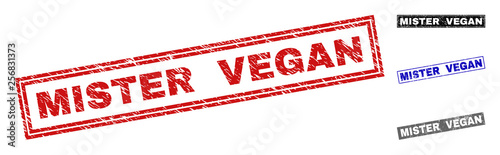 Grunge MISTER VEGAN rectangle stamp seals isolated on a white background. Rectangular seals with grunge texture in red, blue, black and grey colors.