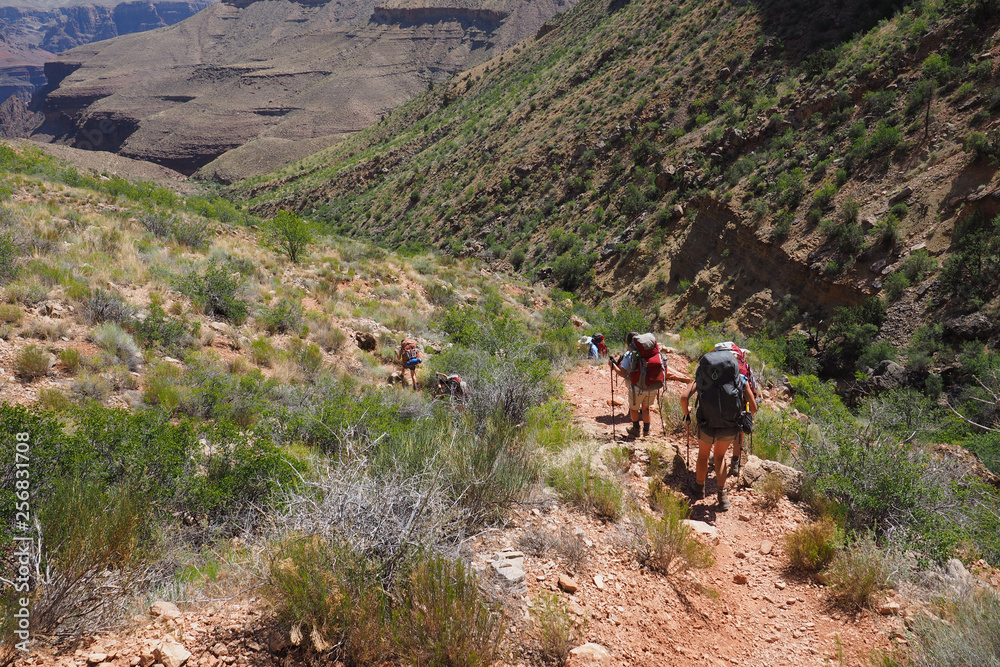 Hikers decend a challenging section of the Grandview Trail in Grand Canyon National Park, Arizona.